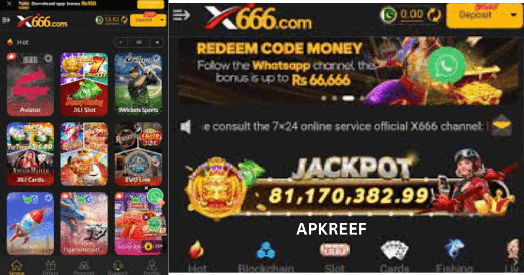 x666