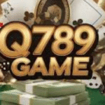 Q789 Game