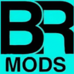 BR Mods Injector